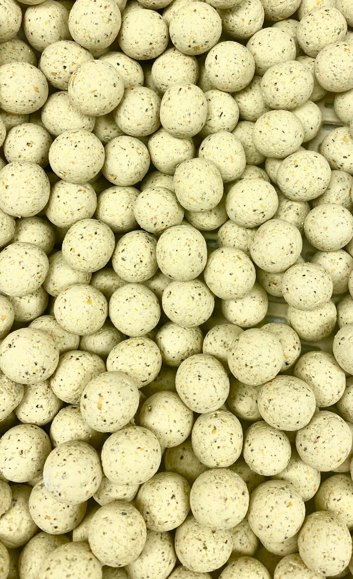 Boilies image 8